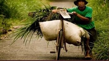 recent-project-img-4